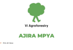 16 research assistants Jobs at Vi Agroforestry