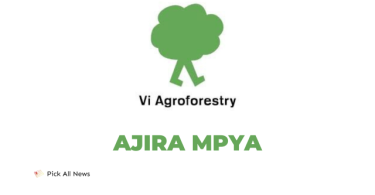 16 research assistants Jobs at Vi Agroforestry