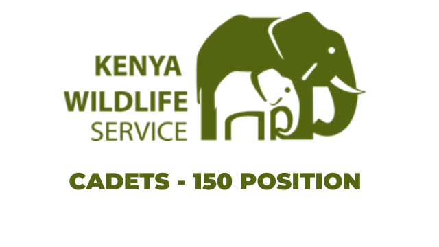 Kenya Wildlife Service (KWS) Hiring Cadets