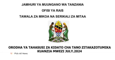 TAMISEMI Form five 2024 Combination Released