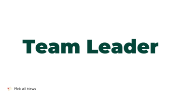 Team Leader Jobs Description