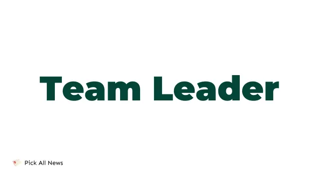 Team Leader Jobs Description