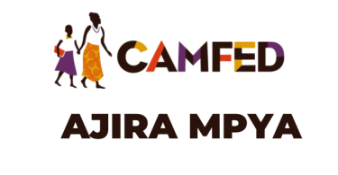 2 Vacancies Open at CAMFED