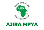 AIRD Hiring Country Program Director