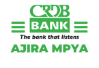 CRDB Bank PLC Hiring Specialist Power Infrastructure and ATM Support (2983)