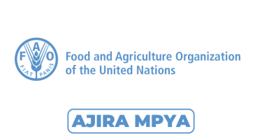 FAO Tanzania Hiring National Private Sector Development Specialist