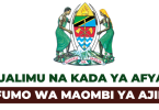 Mfumo wa Maombi ya Ajira Govt's OTEAS Tamisemi Open Positions Application