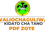 NECTA Waliochaguliwa kidato cha Tano 2024 Form five Selection 2024-25 PDF Rollout