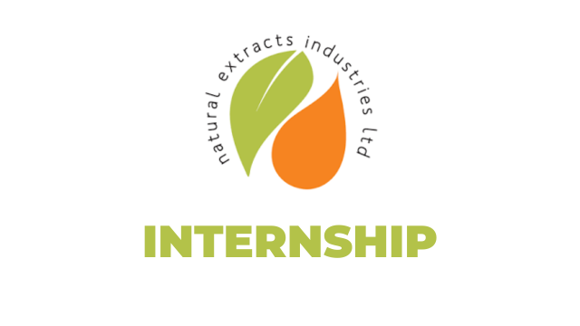 NEI Hiring Sustainability Reporting Internship Opportunity