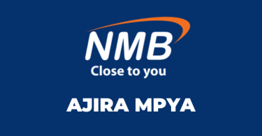 NMB Bank PLC Hiring Senior Audit Associate - Data Analytics M-1