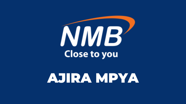 NMB Bank PLC Hiring Senior Audit Associate - Data Analytics M-1