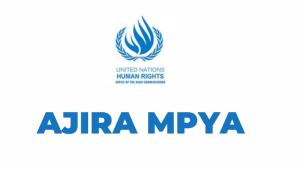 OHCHR Hiring Human Rights Officer T16