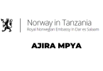 Royal Norwegian Embassy Hiring Program Officer