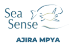 Sea Sense Hiring Assistant Communication Officer