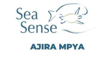 Sea Sense Hiring Assistant Communication Officer