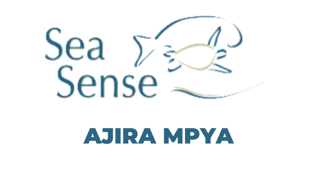 Sea Sense Hiring Assistant Communication Officer