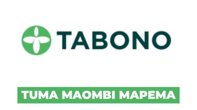 Tabono Consult Hiring Project Chef