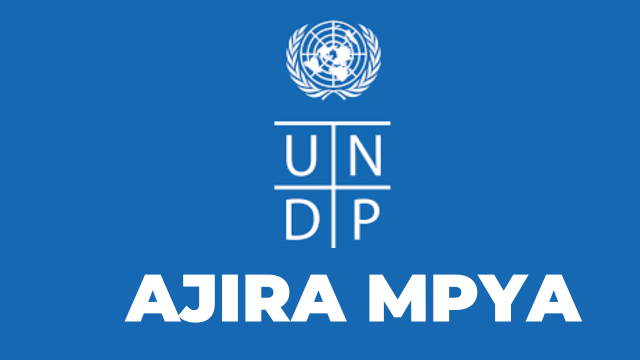 UNDP Hiring Operations Manager