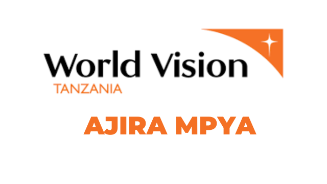 World Vision Tanzania Hiring Head of Internal Audit and Investigation