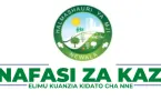 2 Vacancies Open at Newala Town Council Tanzania