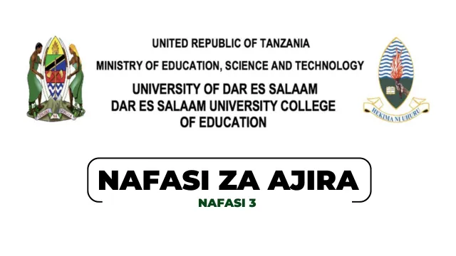 3 Planning Officer Vacancies Open at DUCE Tanzania