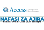 Access Microfinance Bank Tanzania Hiring IT Service Delivery