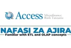 Access Microfinance Bank Tanzania Hiring IT Service Delivery