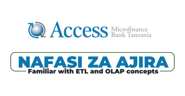 Access Microfinance Bank Tanzania Hiring IT Service Delivery