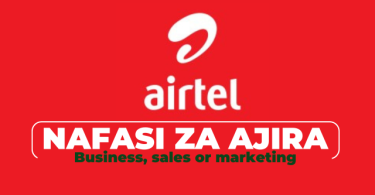 Airtel Tanzania PLC Hiring Public Sector Sales Head