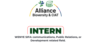 Alliance of Bioversity Tanzania Hiring Communications Intern