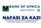 BOA Tanzania Hiring Chief Digital Officer