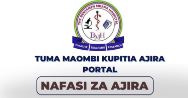 Benjamin Mkapa Hospital Hiring Occupational Therapist