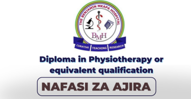 Benjamin Mkapa Hospital Hiring physiotherapist