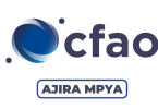 CFAO Tanzania Hiring Sales Director