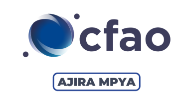 CFAO Tanzania Hiring Sales Director