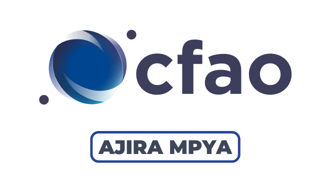 CFAO Tanzania Hiring Sales Director