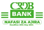 CRDB Bank PLC Hiring Senior Specialist; Sustainable Financing Projects & Programmes