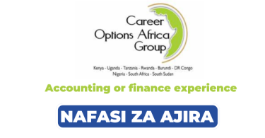 Career Options Africa Group Hiring Accountant