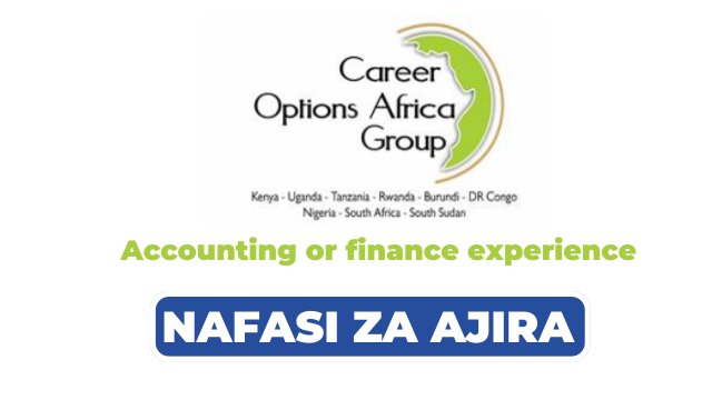 Career Options Africa Group Hiring Accountant