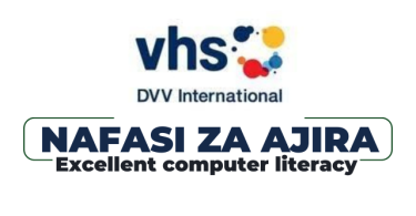 DVV International Tanzania Hiring Country Project Accountant