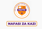 DarTU Tanzania Hiring Internal Auditor