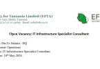 EFTA Tanzania Hiring IT Infrastructure Specialist Consultant