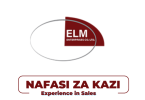 ELM Enterprises Tanzania Hiring Loan Officer