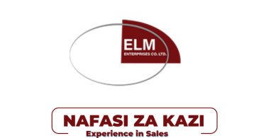 ELM Enterprises Tanzania Hiring Loan Officer