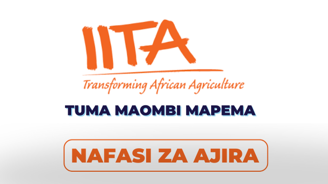 IITA Tanzania Hiring Project Manager