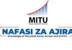 MITU Tanzania Hiring Data Manager