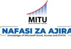 MITU Tanzania Hiring Data Manager