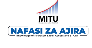 MITU Tanzania Hiring Data Manager