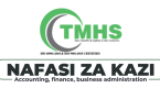 TMHS Tanzania Hiring Finance Officer