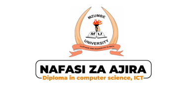 Mzumbe University Hiring Computer Laboratory Technician